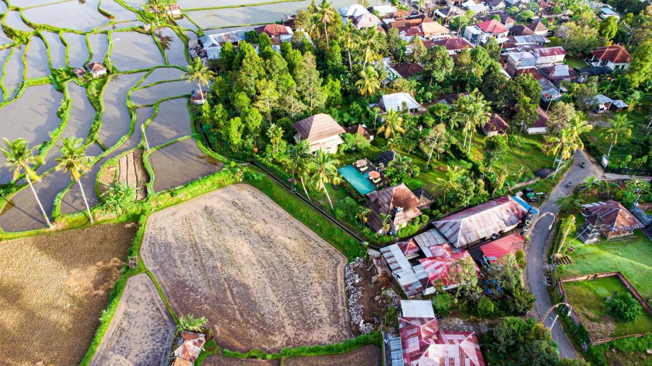 Villa Manuk Singaraja Dış mekan fotoğraf